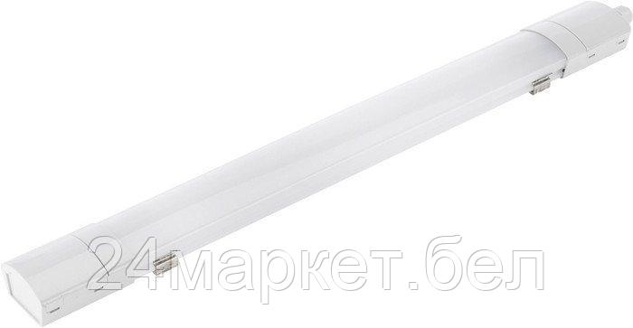 Линейный светильник Rexant ССП IP65 18Вт 185-265В 6500K холодный свет 0,6м 607-019