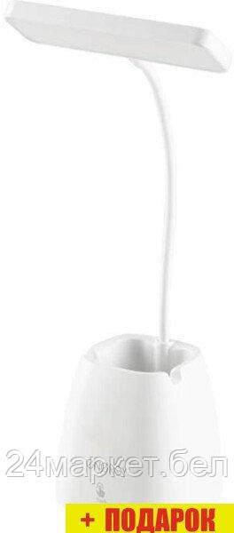 Настольная лампа Energy EN-LED 34 366061