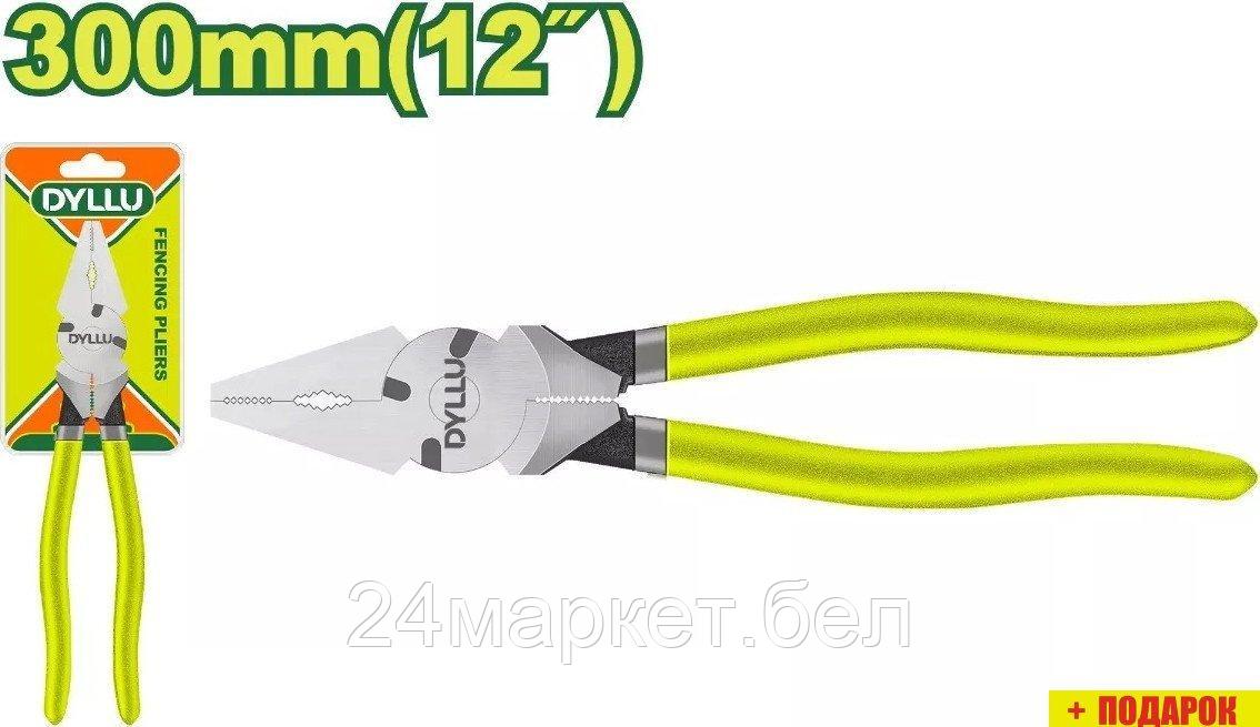 Плоскогубцы Dyllu DTPL9712