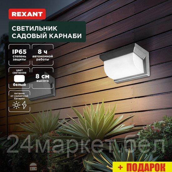 Уличный настенный светильник Rexant Карнаби 602-2415