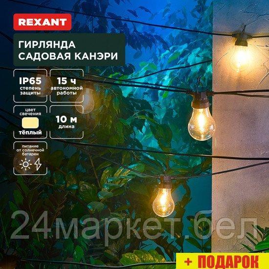 Садовая гирлянда Rexant Канэри 602-2421