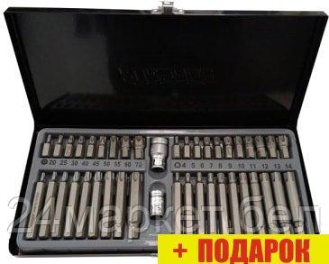 Набор бит FORSAGE F-4421C (42 предмета)