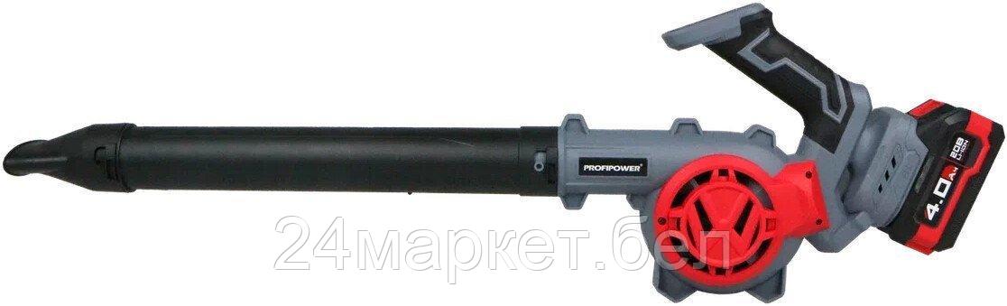 Ручная воздуходувка Profipower DWDUB-20V (с 1-им АКБ)