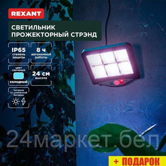 Уличный прожектор Rexant Стрэнд 602-2424