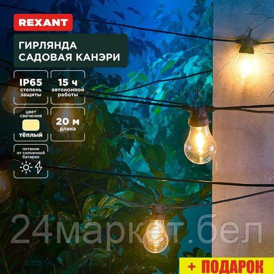 Новогодняя гирлянда Rexant Канэри 602-2423