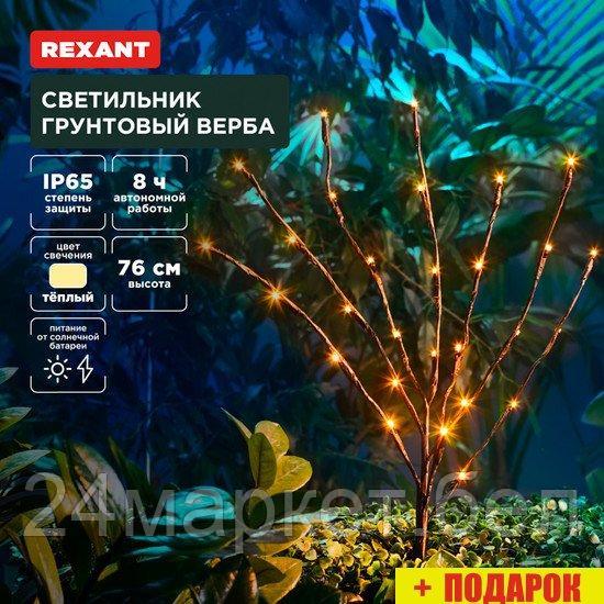 Садовый светильник Rexant Верба 602-2437