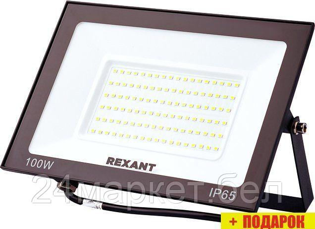 Уличный прожектор Rexant 605-034