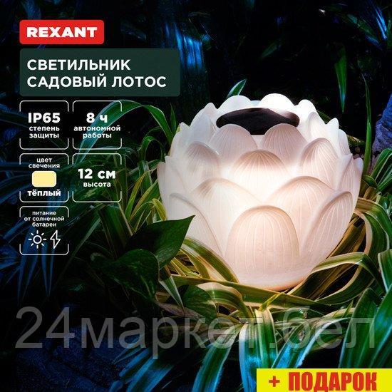 Садовый светильник-фигура Rexant Лотос 602-2431