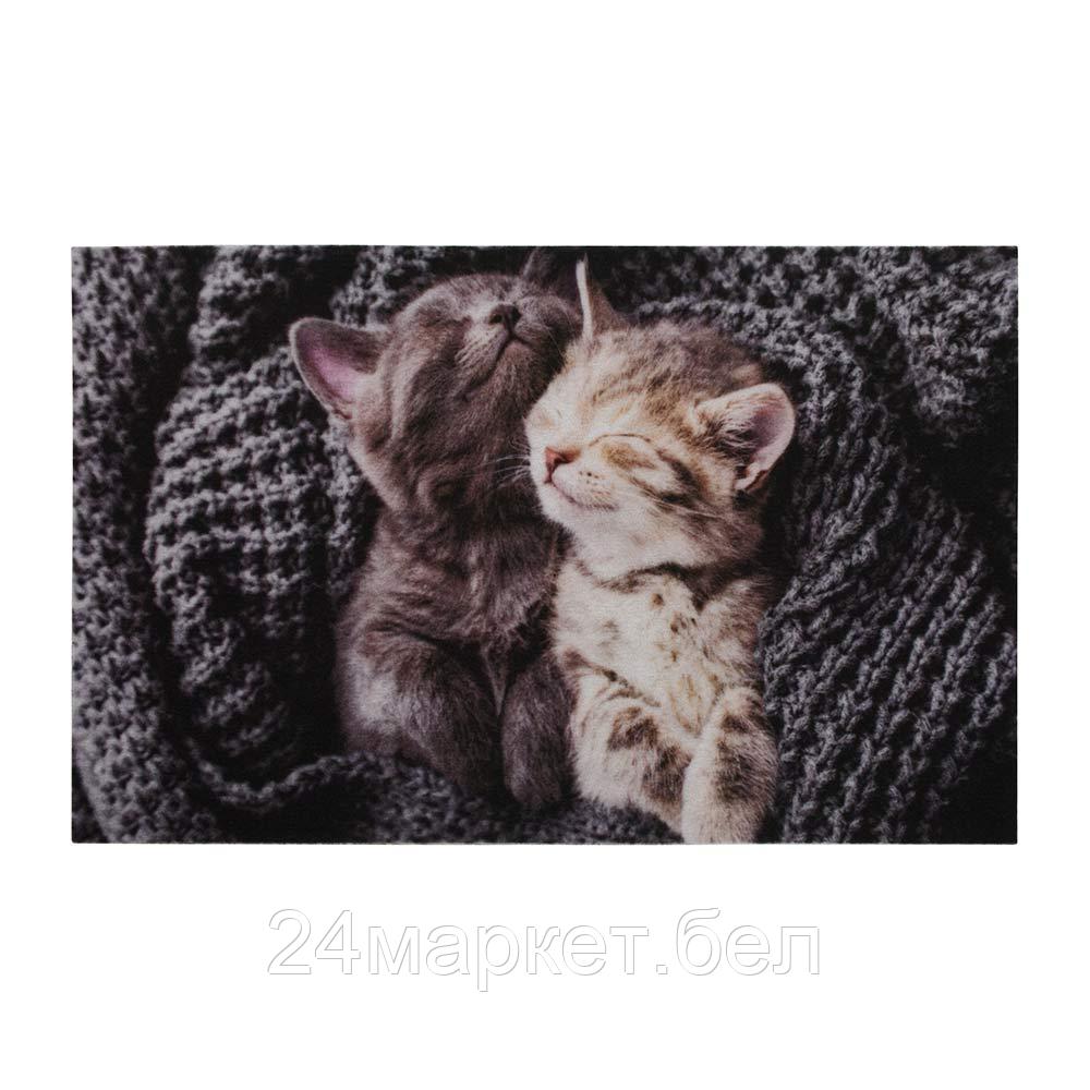 Коврик влаговпитывающий "Samba" 50*80 см. "Милота", котята, "VORTEX"