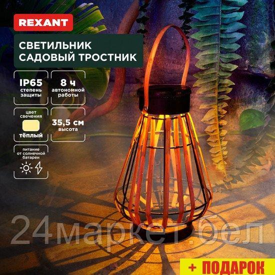 Садовый светильник Rexant Тростник 602-2410