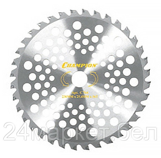 Полотно с зубцами из твердого сплава 40/255/25,4 (SRM-330ES/SRM-350ES,4605) (C5107)