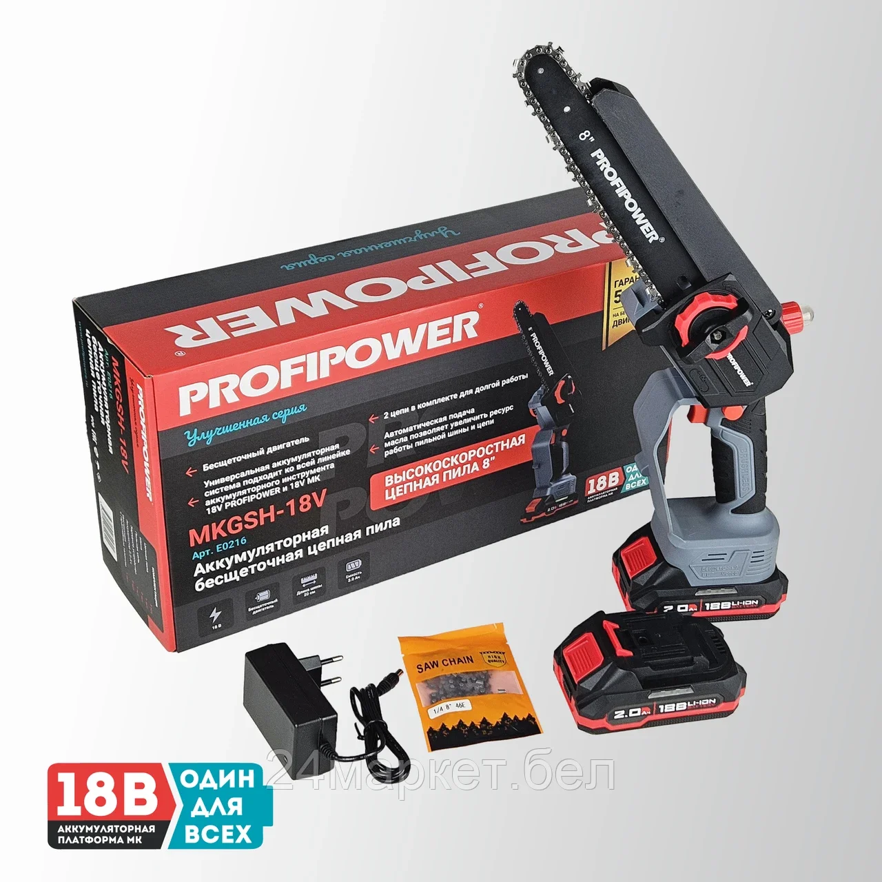 Profipower MKGSH-18V (с 2-мя АКБ)