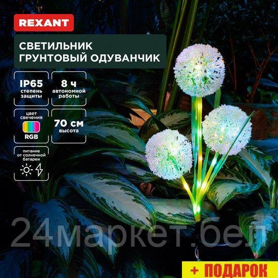 Садовый светильник-фигура Rexant Одуванчик 602-2433