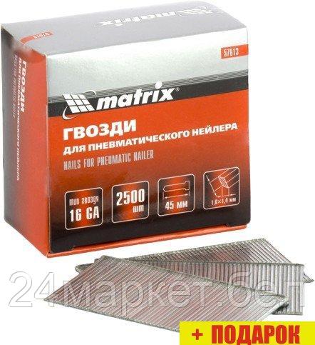 Гвозди Matrix 57613 (2500 шт)