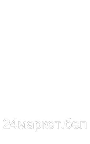 Мойка высокого давления Denzel R-210iD