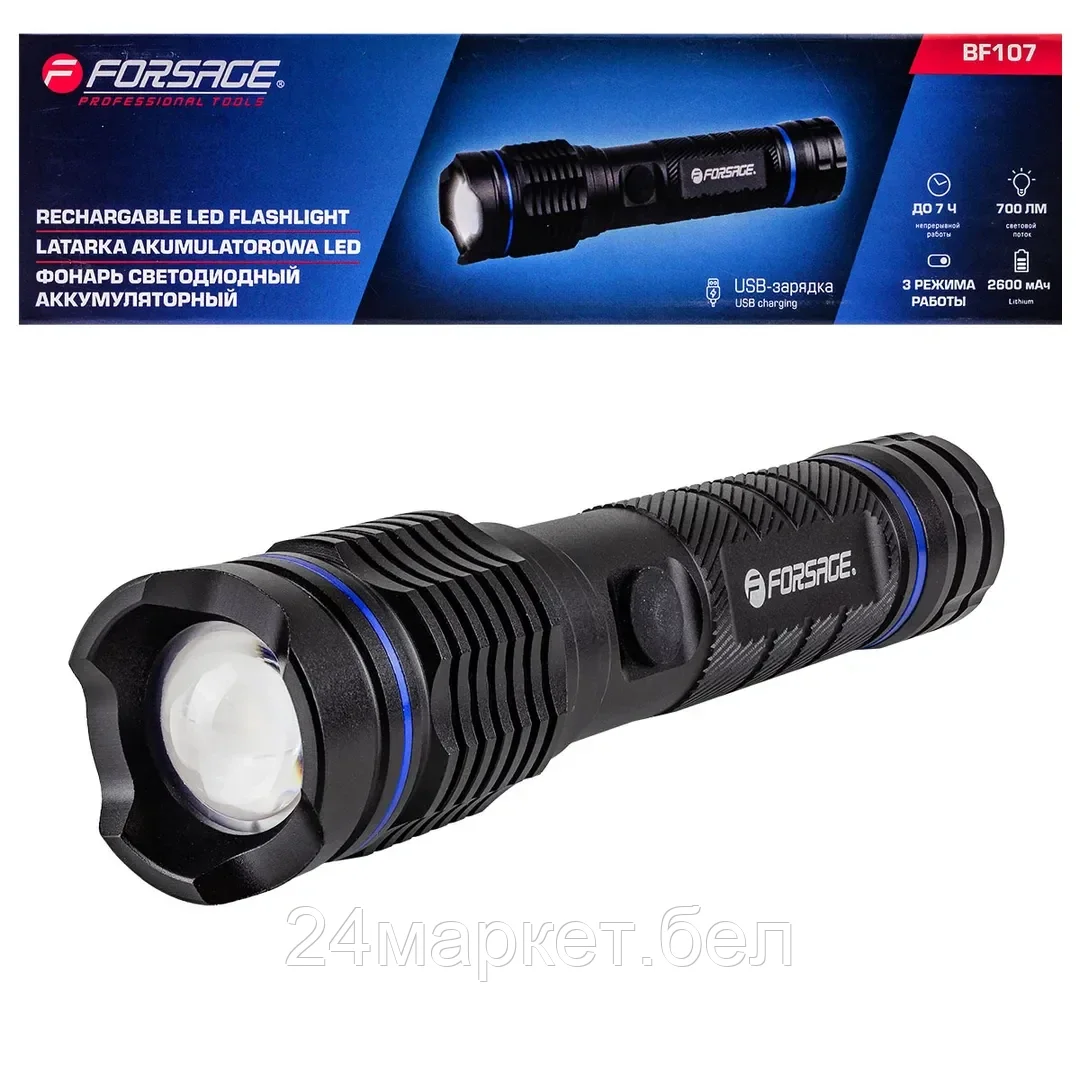 Фонарь FORSAGE F-BF107