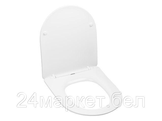 Сиденье для унитаза AV Engineering Art AVWHR204C