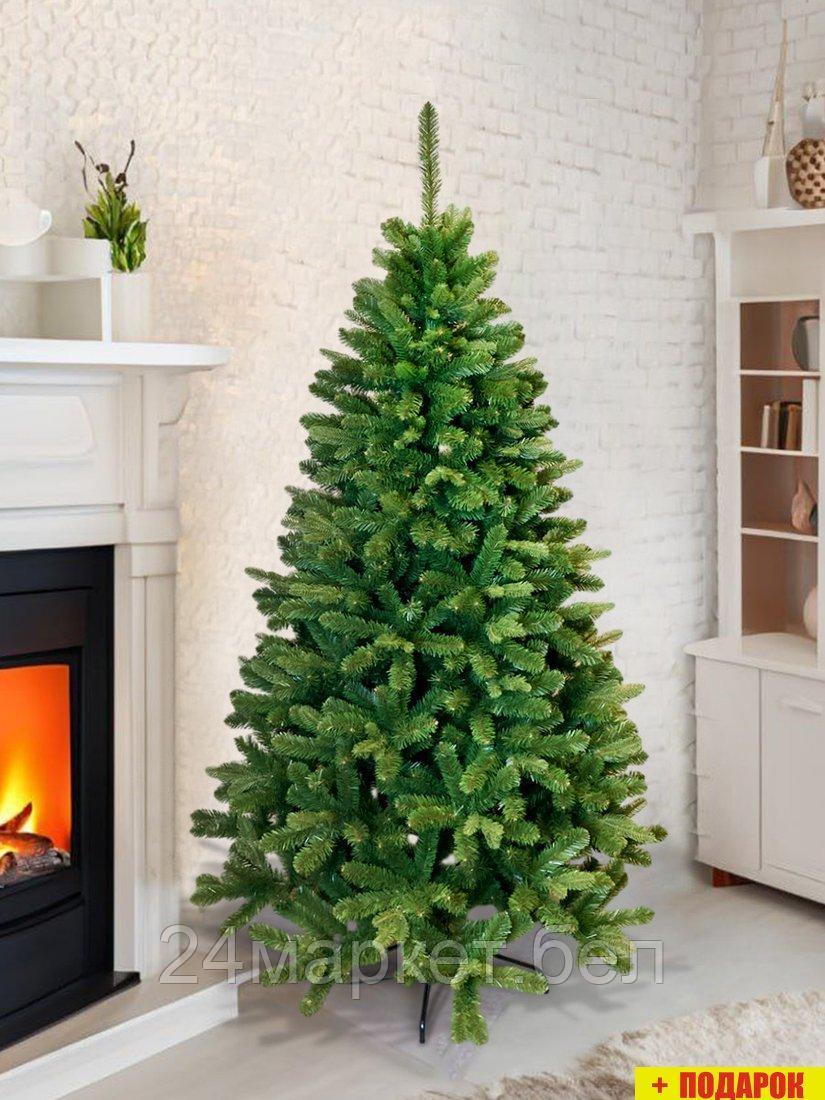 Сосна GreenTerra Рапсодия 2.2 м