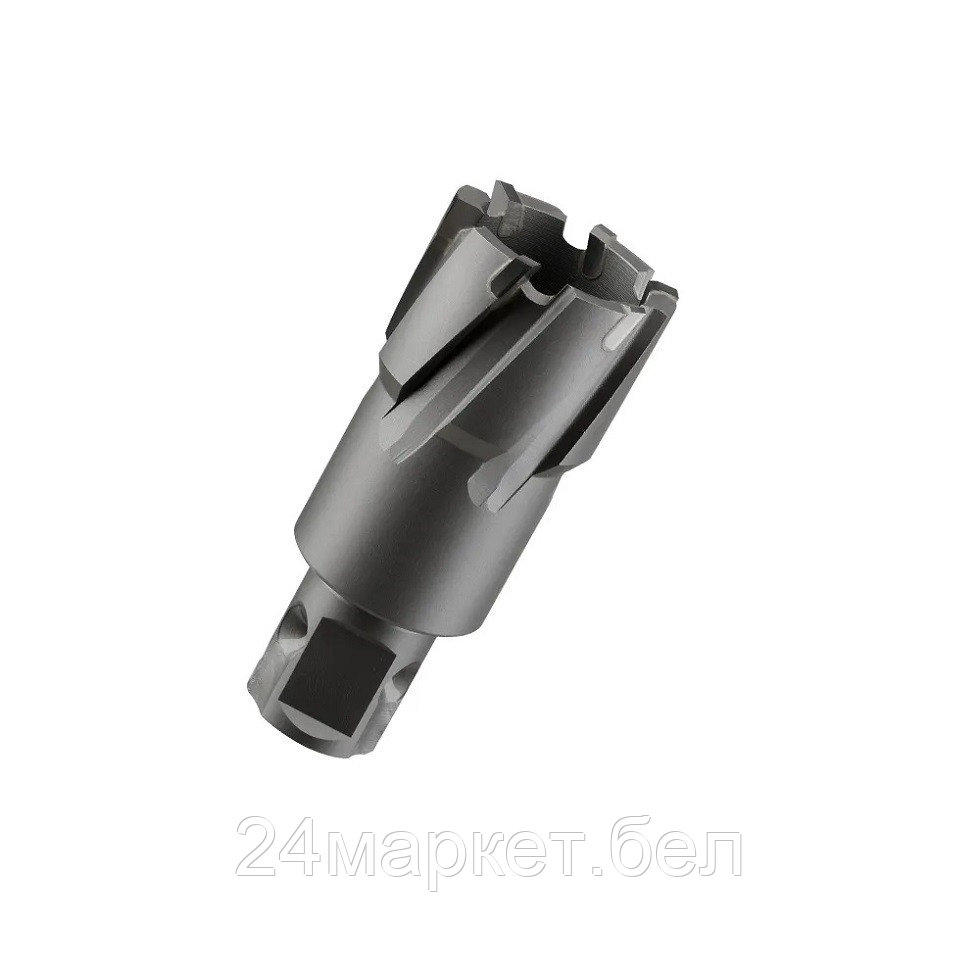 GARWIN INDUSTRIAL 102840-30 Сверло корончатое 30 мм с твспл. пласт., унив. хвостовик 3/4" (WELDON/NITTO ф19,05 мм), TCT, глубина сверления Lap35 мм