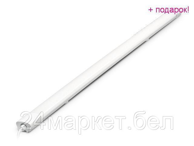JAZZWAY Китай Светильник светодиодный накладной 40Вт Вт PWP-С2 1200 4000К, IP65, 196-264В, с драйвером JAZZWAY (3600Лм, нейтральный белый свет)