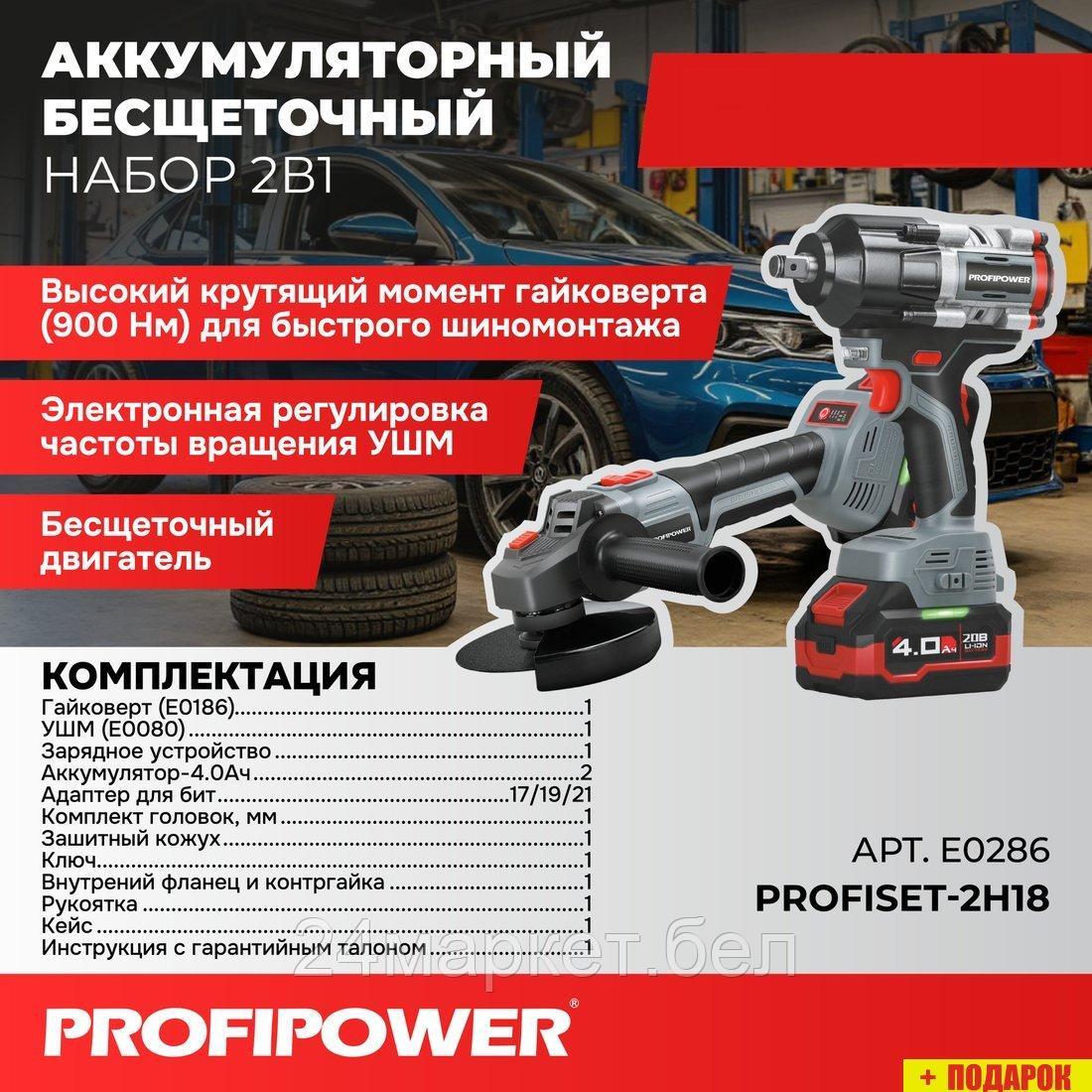 Profipower ProfiSet-2H20 E0286 (гайковерт, болгарка, 2 АКБ, кейс)