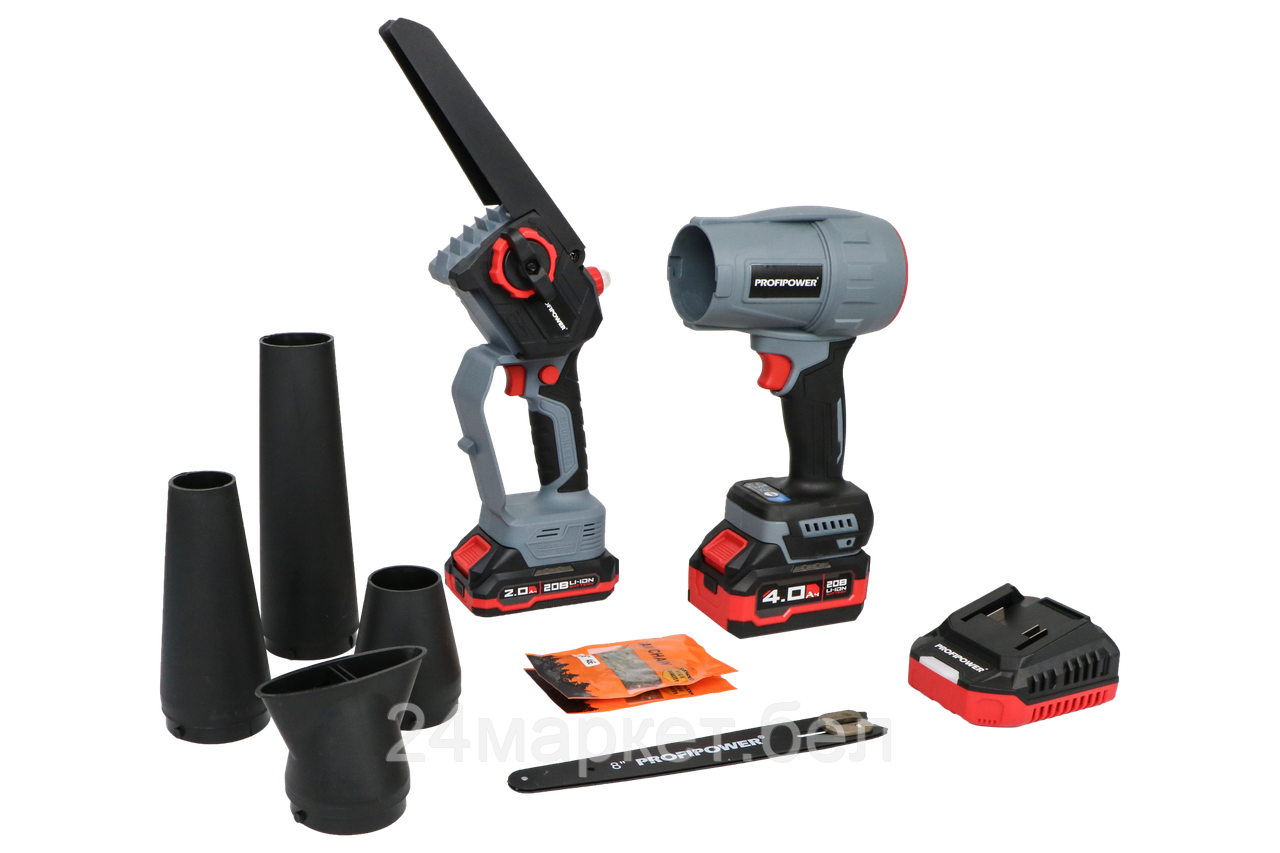 Profipower ProfiSet-2D20 (воздуходувка, цепная пила, 2 АКБ)
