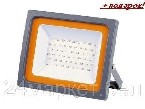 JAZZWAY Китай Прожектор светодиодный 50 Вт PFL-SC 6500К, IP65, 200-240В, JAZZWAY (4250Лм, холодный белый свет)