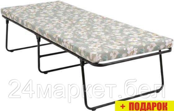 Раскладушка Olsa Верона с401/133