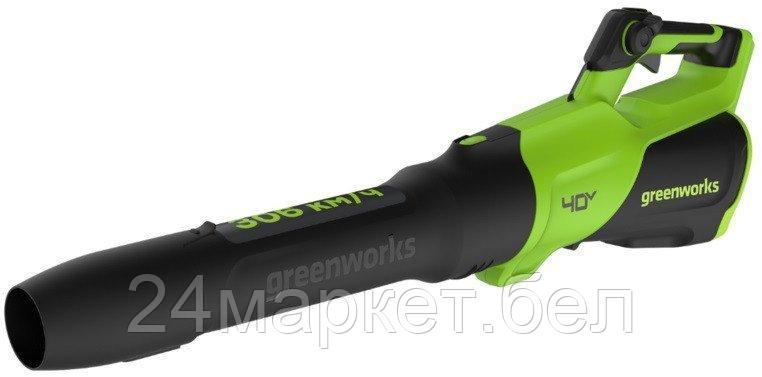 Ручная воздуходувка Greenworks GD40BG3 2408207 (без АКБ)