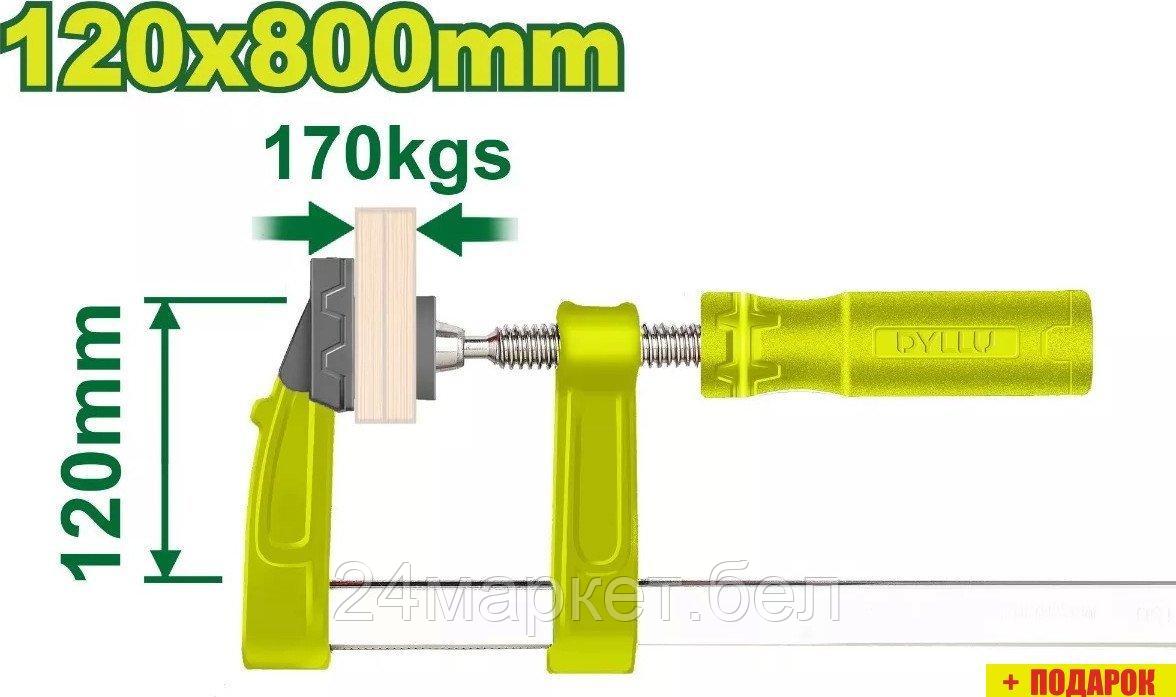 Струбцина Dyllu DTCP2124