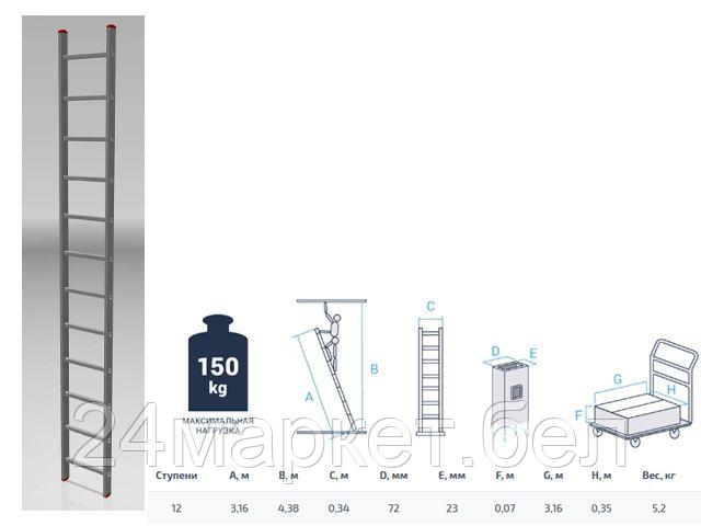 PRO STARTUL Россия Лестница алюм. односекц. 316см 12 ступ., 5,2кг PRO STARTUL (ST9945-12)