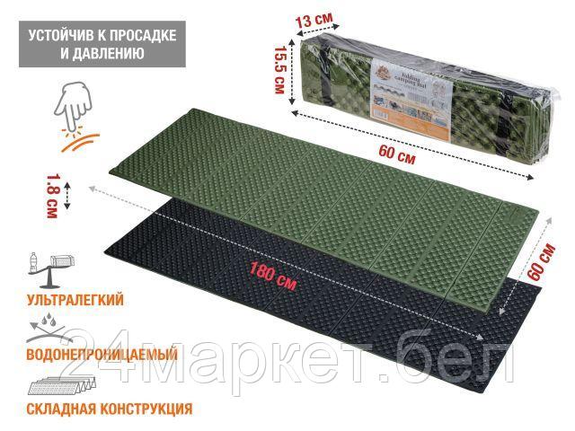 Arizone Coyote 28-180601