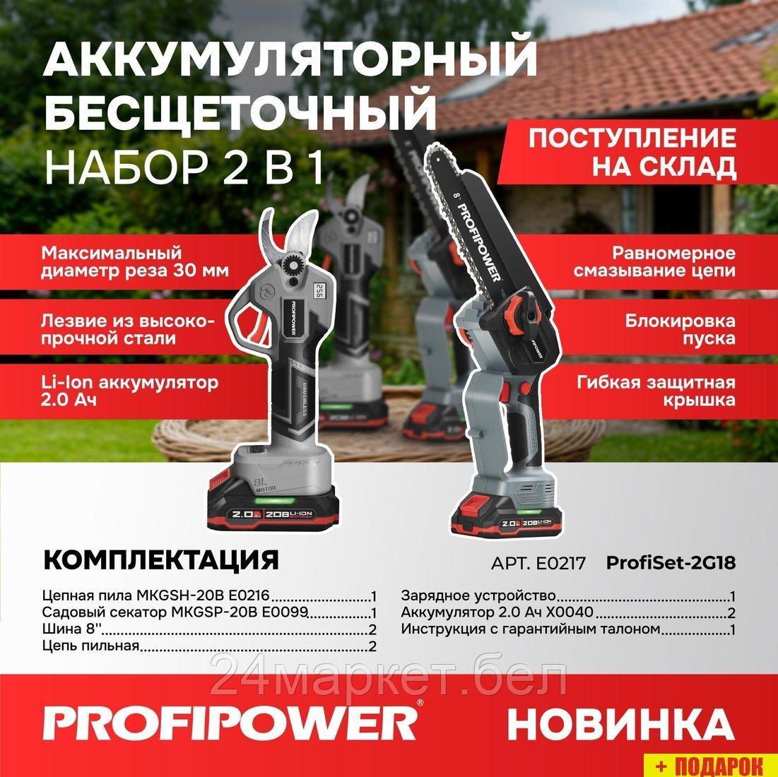 Profipower ProfiSet-2G20 E0217 (цепная пила, секатор, 2 АКБ)