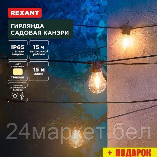 Новогодняя гирлянда Rexant Канэри 602-2422
