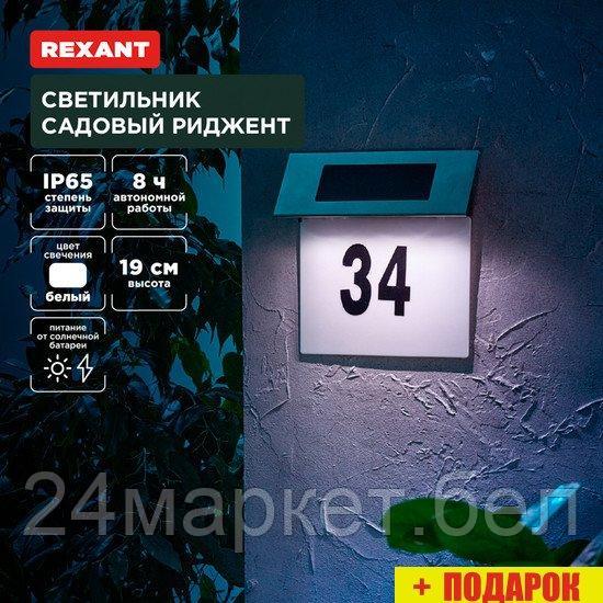 Уличный настенный светильник Rexant Риджент 602-2413
