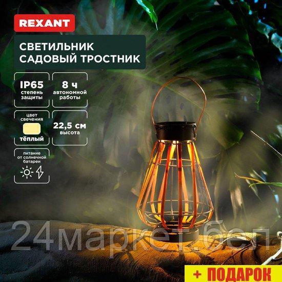 Садовый светильник Rexant Тростник 602-2409