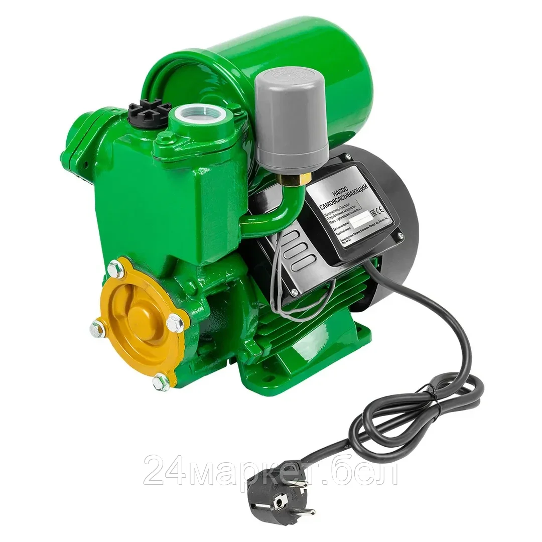 RF-PS170 ALU RockFORCE Насос самовсасывающий (230В, 50Гц, 250Вт, 30л/мин) (обмотка AL)