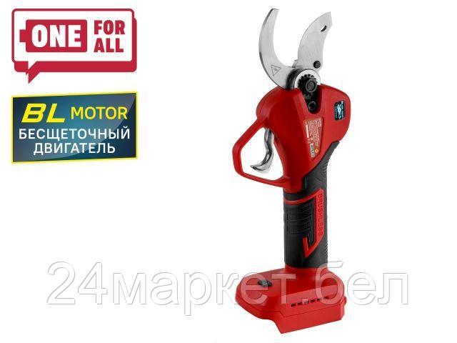 Секатор Wortex CBS 2535-1 1329488 (без АКБ)