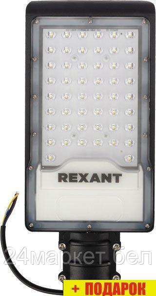 Rexant ДКУ-01 607-305