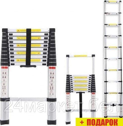 Лестница Skiper VL1-9