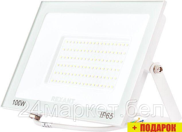 Уличный прожектор Rexant 605-027