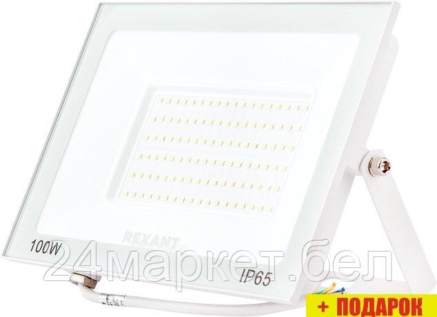 Уличный прожектор Rexant 605-027