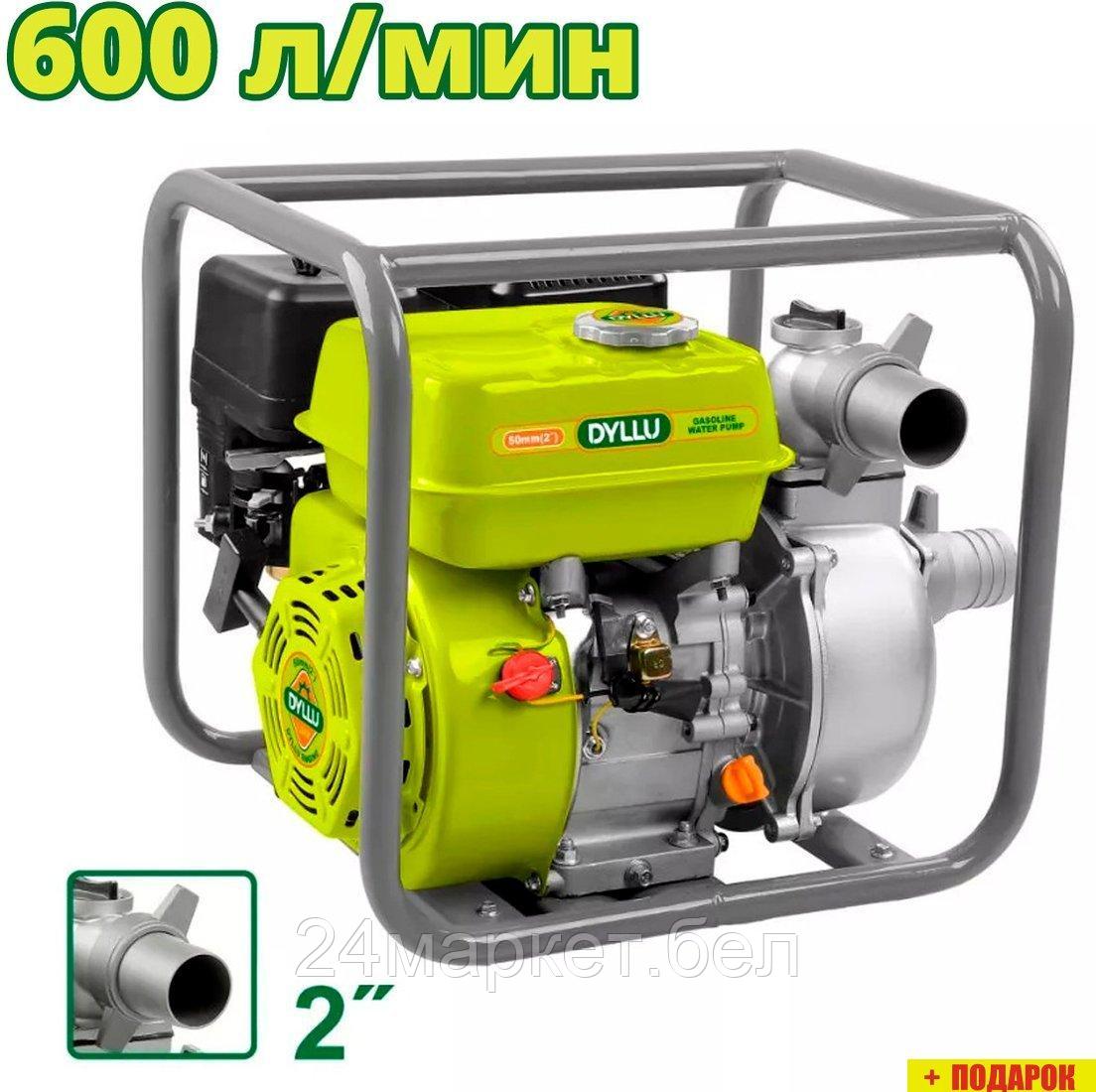 Мотопомпа Dyllu DTGW1A22