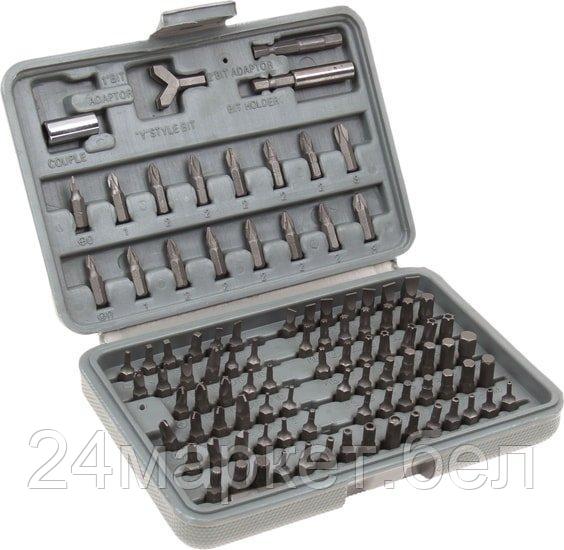 Набор бит Sparta 113975 (100 предметов)