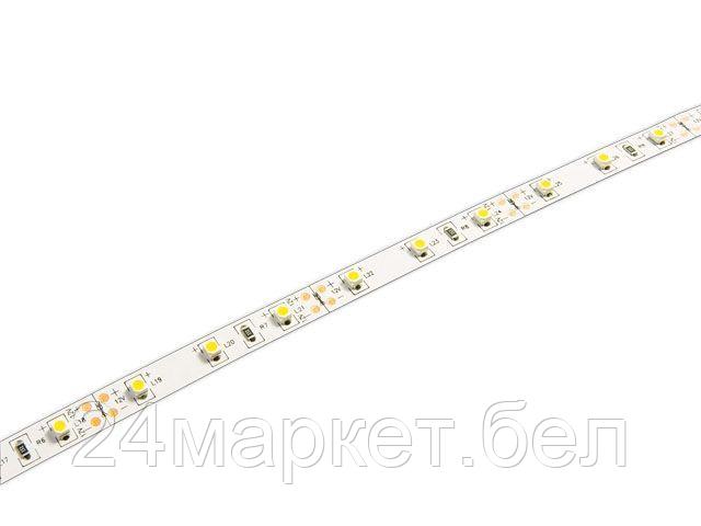 Лента светодиодная STN-3528/60 (4.8 Вт/м, 300 Лм/м, IP20, 12В (5 м в уп.) зеленая JAZZWAY (60 диод/м, зеленый свет, 8 мм) 327460