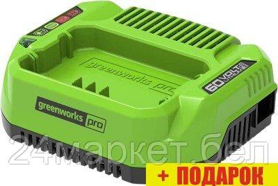Зарядное устройство Greenworks G60UC (60В)