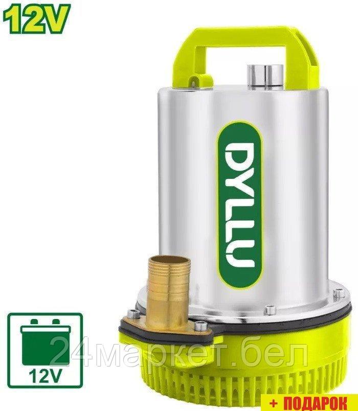 Дренажный насос Dyllu DTWPQDC12